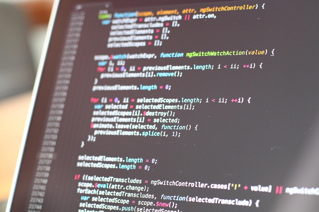 Custom Software Process